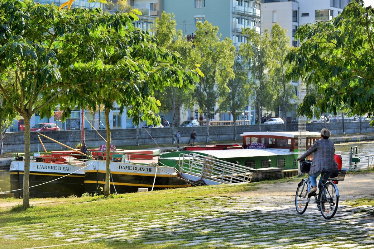 Quai_Saint-Cyr-Franck_Hamon-22396